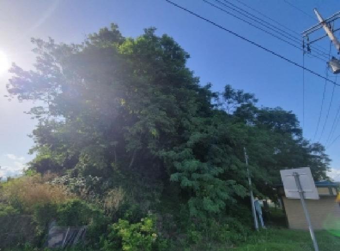 전남 광양시 진월면 임야 경매 물건 사진 3 · 2026타경50706