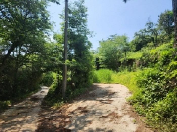 전남 고흥군 도양읍 임야 경매 물건 사진 3 · 2026타경50719