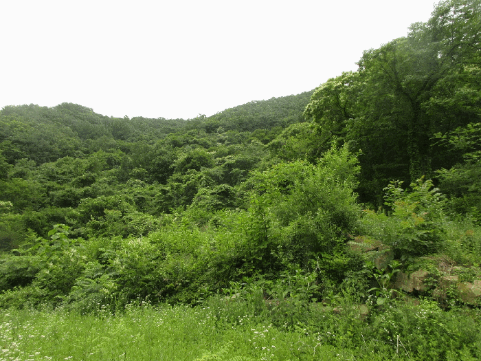 전남 구례군 토지면 전답 경매 물건 사진 6 · 2026타경50753