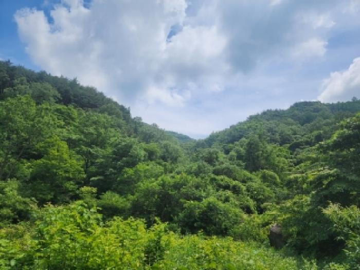 전남 구례군 토지면 전답 경매 물건 사진