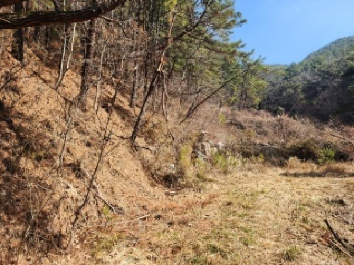 전남 고흥군 도덕면 임야 경매 물건 사진 2 · 2026타경56