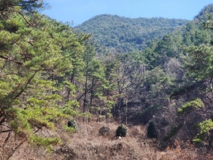 전남 고흥군 도덕면 임야 경매 물건 사진 5 · 2026타경56