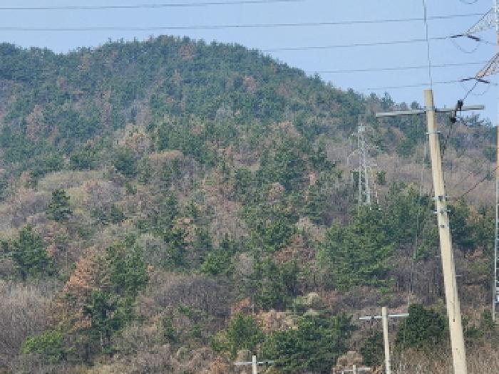 전남 고흥군 도덕면 임야 경매 물건 사진 6 · 2026타경56