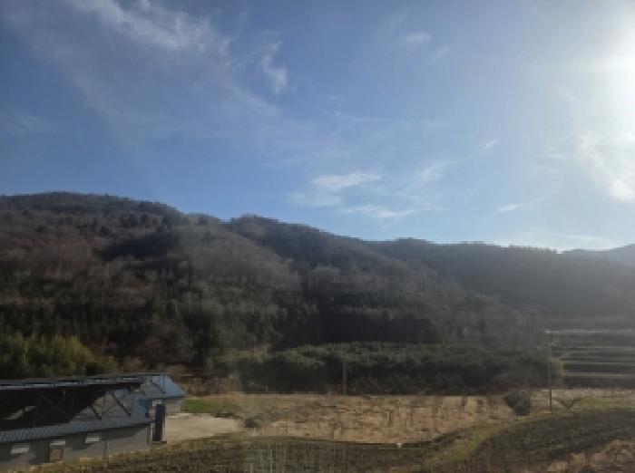 전남 순천시 별량면 임야 경매 물건 사진