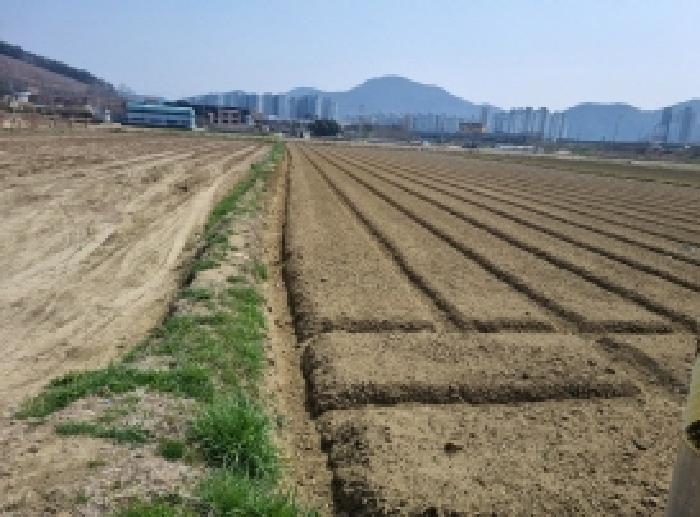 전남 순천시 서면 전답 경매 물건 사진 2 · 2026타경77