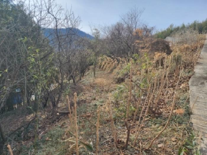 전남 구례군 문척면 임야 경매 물건 사진 4 · 2026타경9