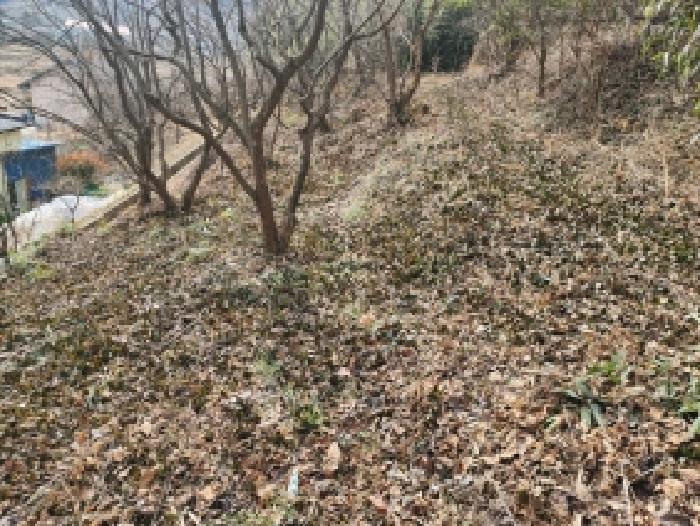 전남 구례군 문척면 임야 경매 물건 사진 5 · 2026타경9