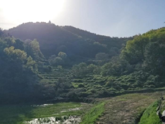 전남 고흥군 도양읍 전답 경매 물건 사진