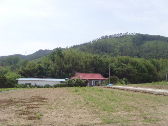 전남 해남군 삼산면 전 경매 물건 사진