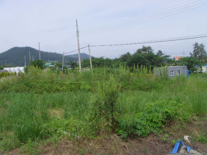 전남 해남군 삼산면 전 경매 물건 사진 5 · 2023타경52331