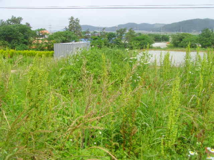 전남 해남군 삼산면 전 경매 물건 사진 6 · 2023타경52331