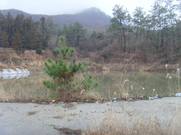 전남 해남군 현산면 답 경매 물건 사진