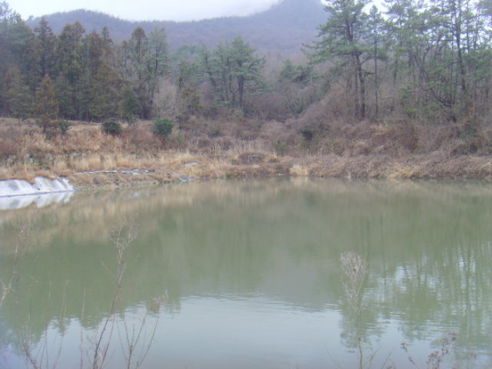 전남 해남군 현산면 답 경매 물건 사진 2 · 2024타경50790