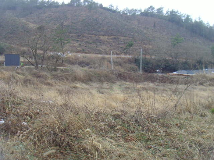 전남 해남군 현산면 답 경매 물건 사진 4 · 2024타경50790