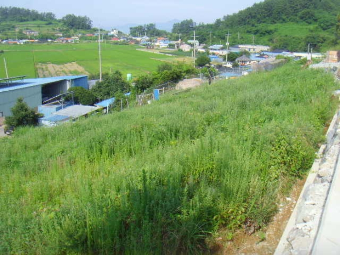 전남 완도군 약산면 전 경매 물건 사진 6 · 2024타경53553