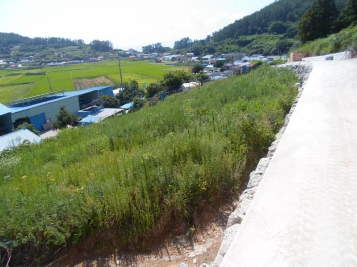 전라남도 완도군 약산면 우두리 1238 전 경매 물건 사진