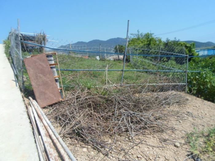 전남 완도군 약산면 전 경매 물건 사진 4 · 2024타경53553
