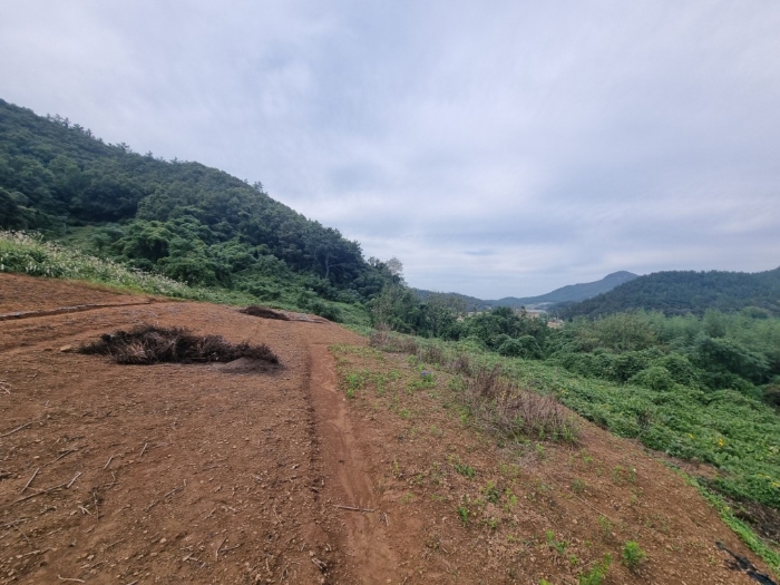 전남 해남군 화원면 임야 경매 물건 사진 5 · 2024타경54648