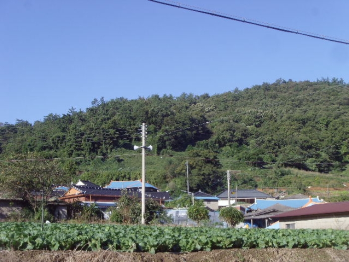 전남 해남군 화원면 임야 경매 물건 사진