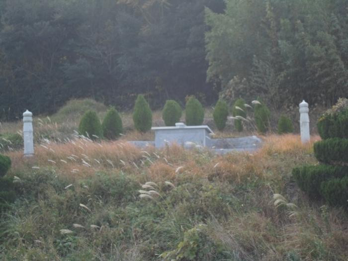 전남 완도군 보길면 임야 경매 물건 사진 5 · 2024타경55184