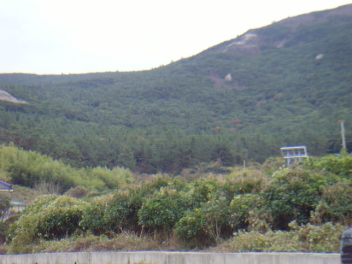 전남 완도군 보길면 임야 경매 물건 사진 6 · 2024타경55184