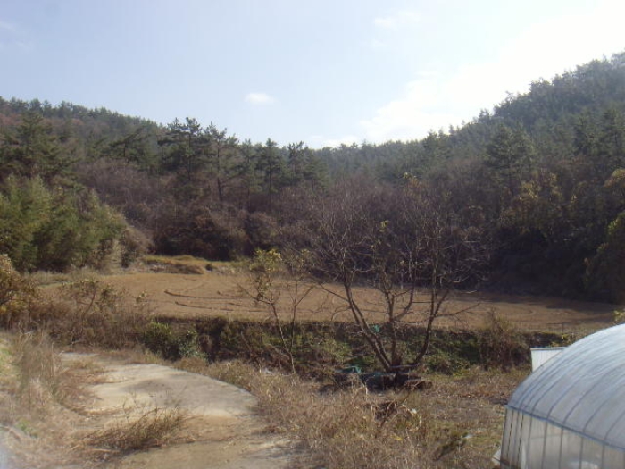 전남 해남군 화원면 전 경매 물건 사진 3 · 2024타경55337