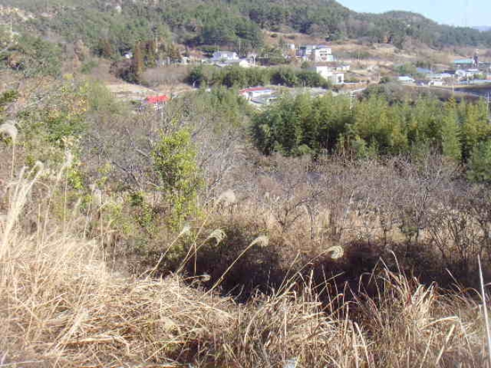 전남 완도군 약산면 답 경매 물건 사진 3 · 2024타경55481