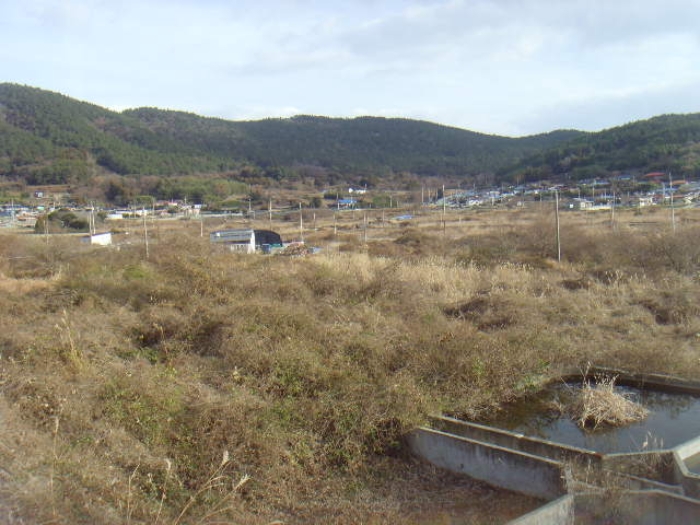 전남 완도군 약산면 답 경매 물건 사진 4 · 2024타경55481