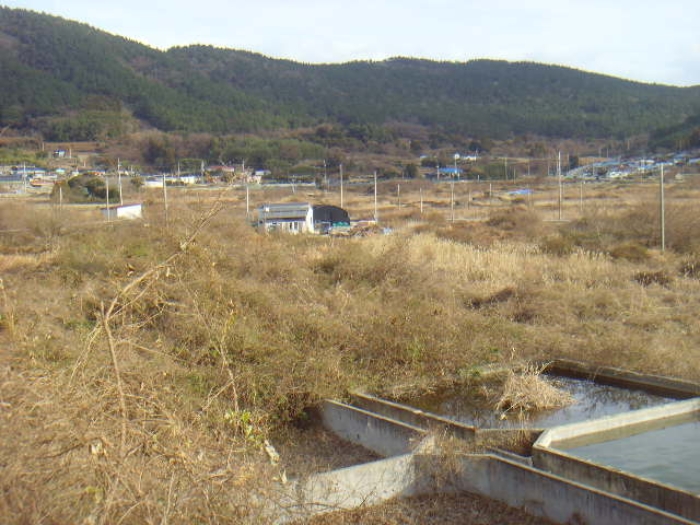 전남 완도군 약산면 답 경매 물건 사진 5 · 2024타경55481