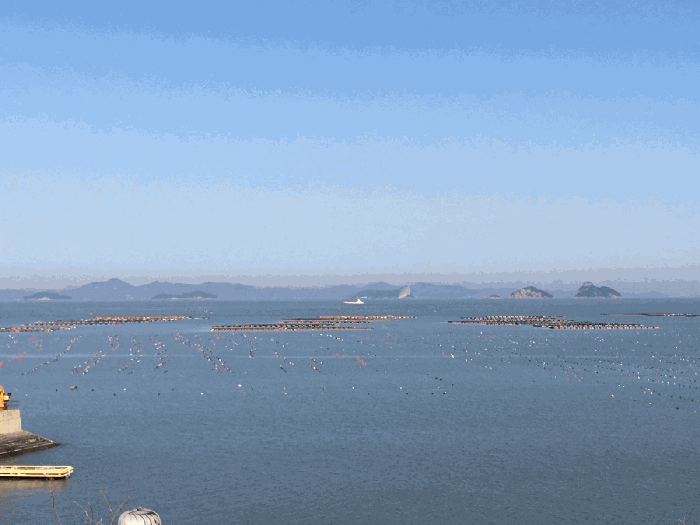 전남 진도군 지산면 어업권 경매 물건 사진 6 · 2024타경55801