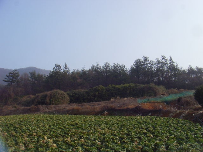 전남 해남군 화원면 전 경매 물건 사진 2 · 2024타경559