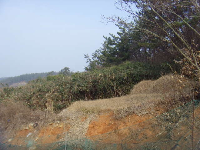 전남 해남군 화원면 전 경매 물건 사진 3 · 2024타경559