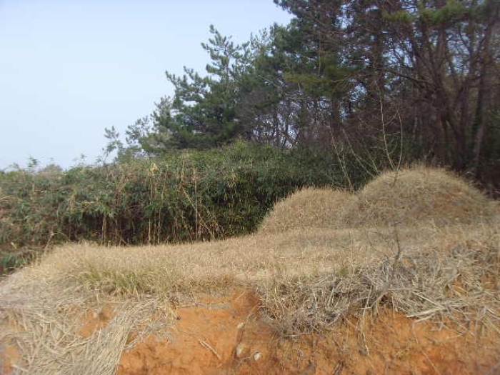 전남 해남군 화원면 전 경매 물건 사진 4 · 2024타경559