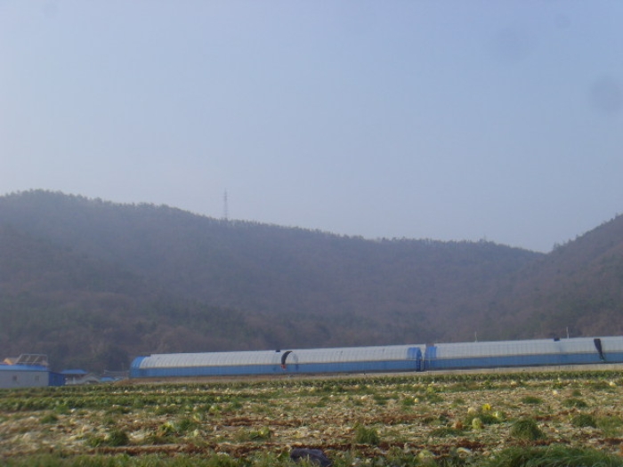 전남 해남군 화원면 전 경매 물건 사진 5 · 2024타경559