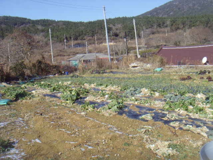 전남 완도군 소안면 전 경매 물건 사진 2 · 2024타경55917