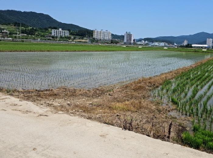 전남 진도군 진도읍 전답 경매 물건 사진 2 · 2025타경1214