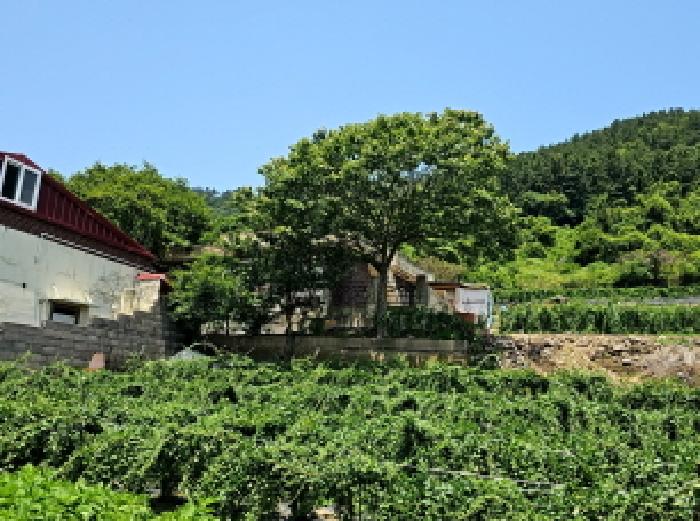 전남 진도군 진도읍 전답 경매 물건 사진 6 · 2025타경1214
