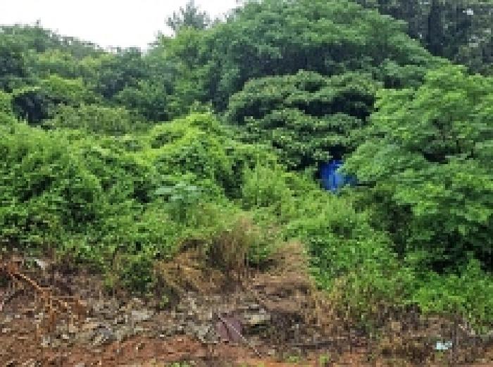 전남 해남군 화원면 대지 경매 물건 사진