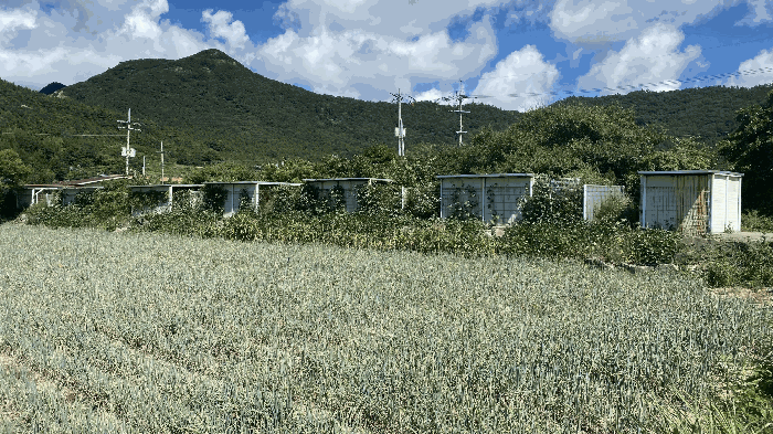 전라남도 진도군 지산면 가학리 457-7 잡종지 경매 물건 사진