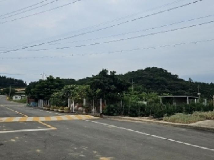 전남 진도군 지산면 잡종지 경매 물건 사진
