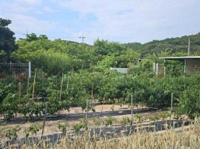 전남 진도군 지산면 잡종지 경매 물건 사진 2 · 2025타경1467