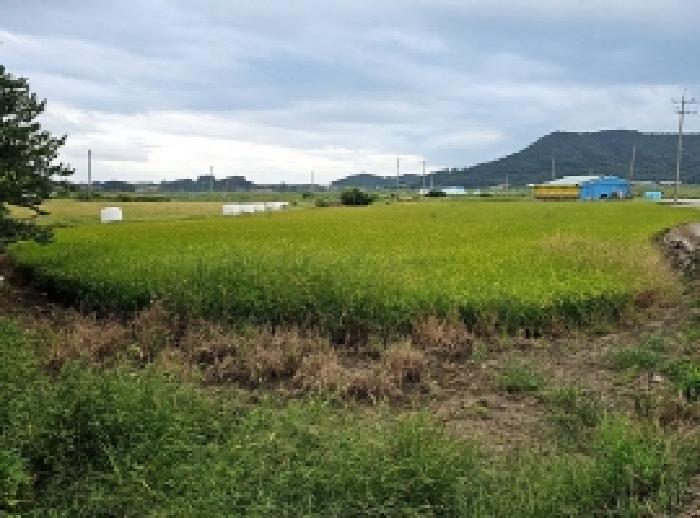 전남 완도군 완도읍 전 경매 물건 사진 2 · 2025타경1481
