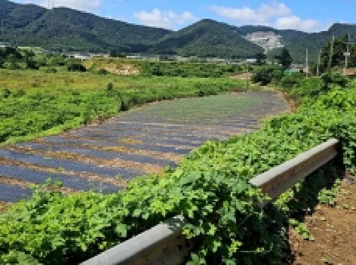 전남 해남군 화원면 답 경매 물건 사진