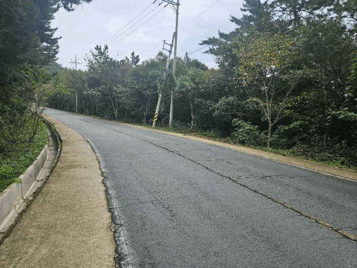 전남 완도군 보길면 임야 경매 물건 사진 3 · 2025타경1672