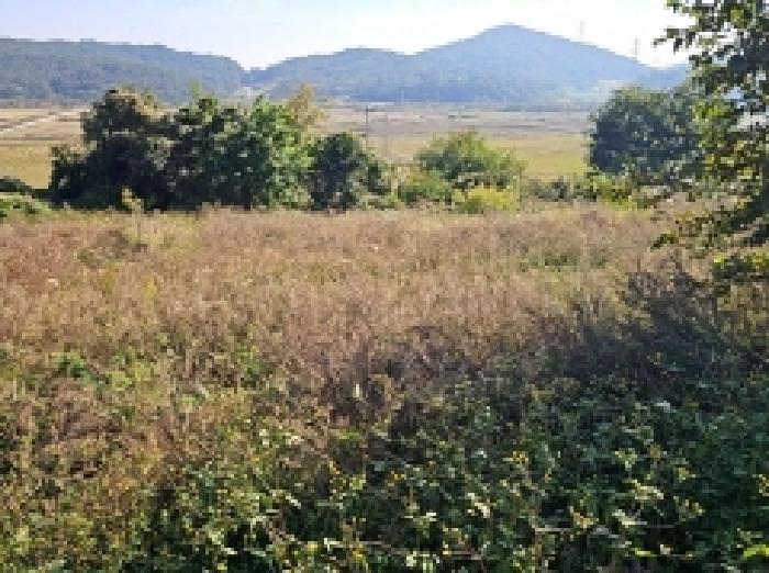 전남 해남군 황산면 전 경매 물건 사진