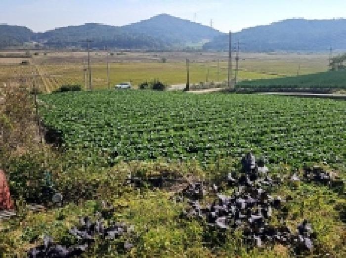 전남 해남군 황산면 전 경매 물건 사진 2 · 2025타경1726