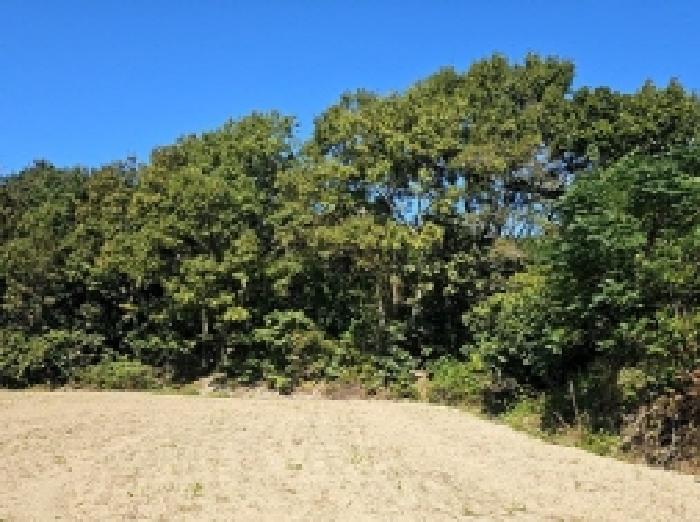 전남 해남군 황산면 전 경매 물건 사진 5 · 2025타경1726