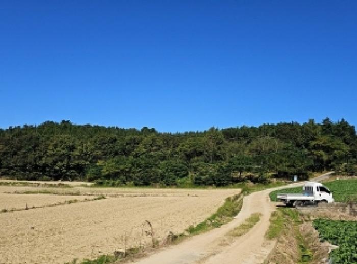 전남 해남군 황산면 전 경매 물건 사진 6 · 2025타경1726