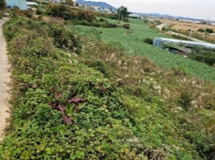 전남 해남군 문내면 전 경매 물건 사진 5 · 2025타경1733