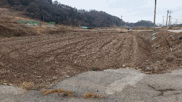 전남 해남군 화원면 답 경매 물건 사진 6 · 2025타경50339